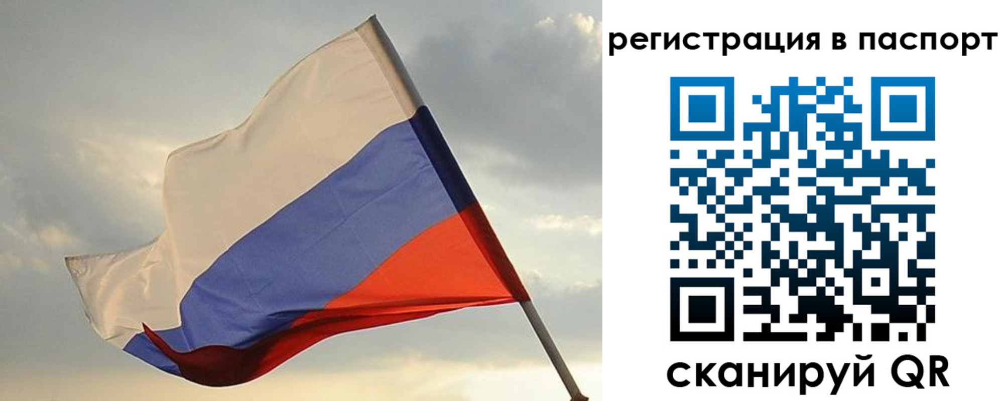 форма 3 в Ярославской области